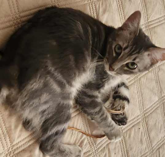 Photo of Spirit