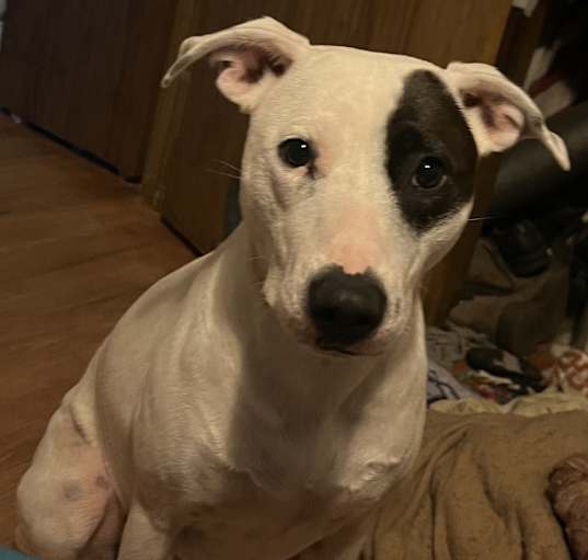 Photo of Maggie