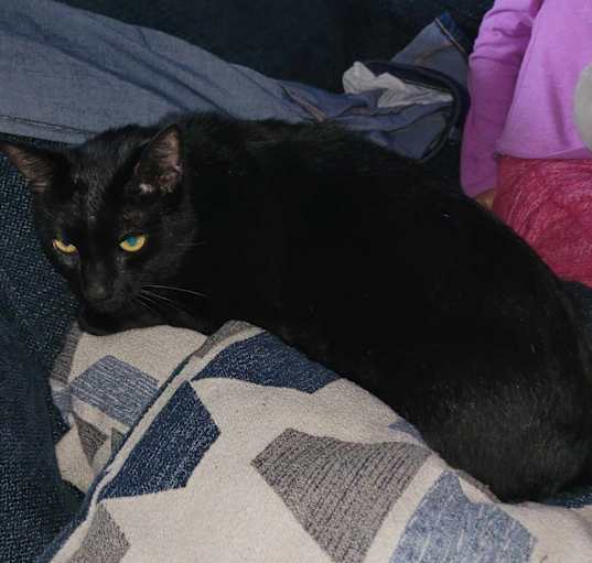 Photo of Ezra