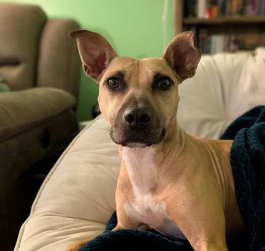 Photo of Polly