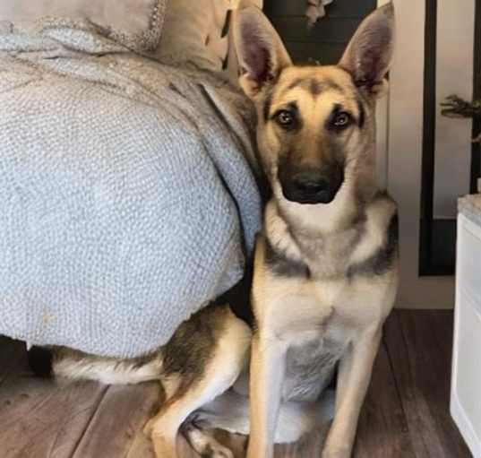 Photo of LILY