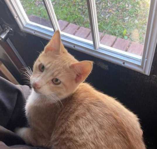 Photo of Roger Urgent