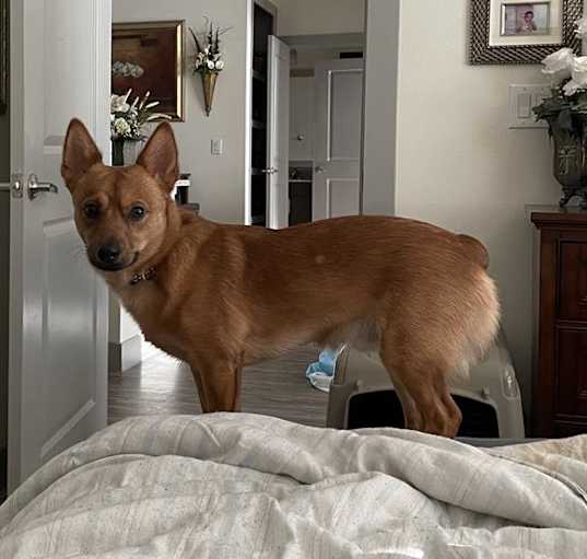 Photo of ZEUS