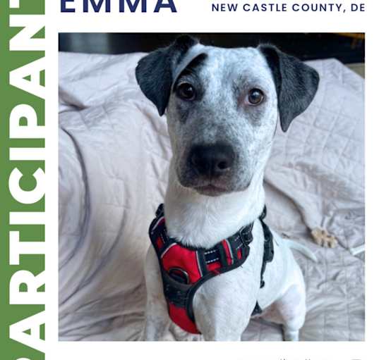 Photo of Emma