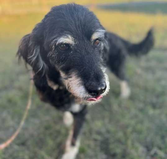 Photo of Wally