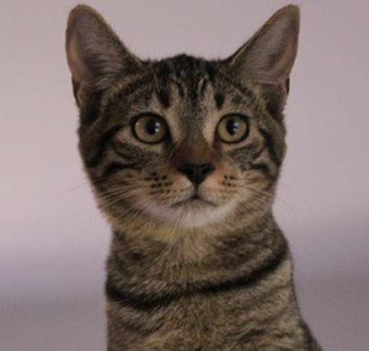 Photo of Wilma