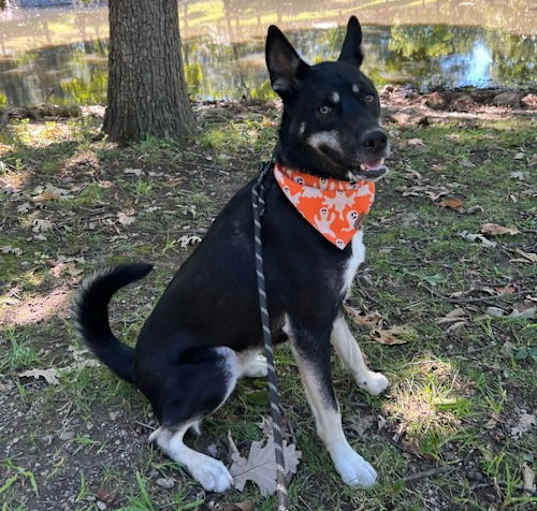 Photo of Tucker *CL*