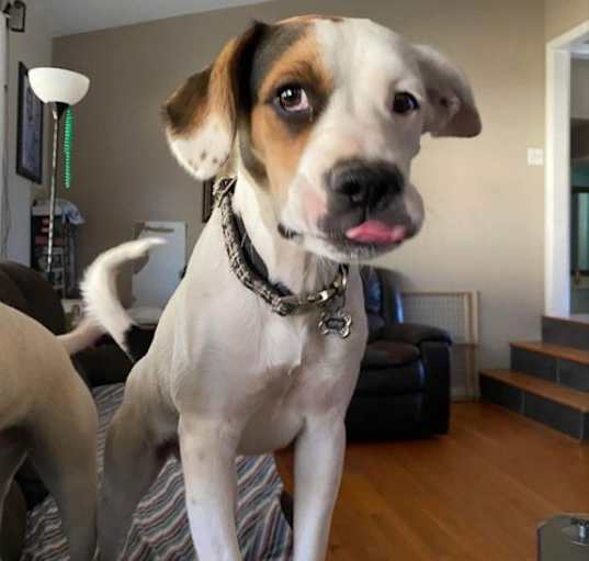 Photo of Zoe