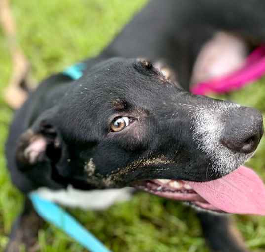 Photo of Evita