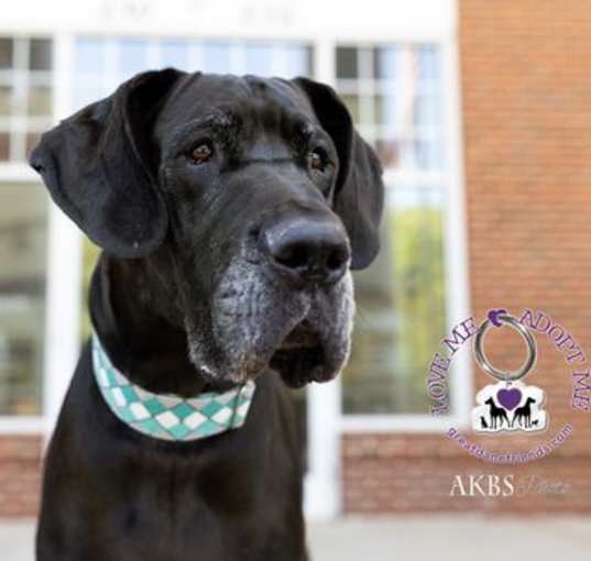 Photo of Thor