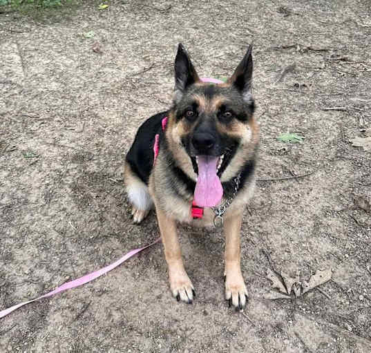 Photo of Luna