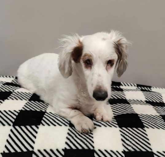 Photo of Squirt