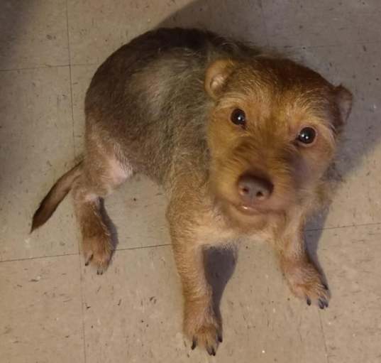 Photo of BoyBoy