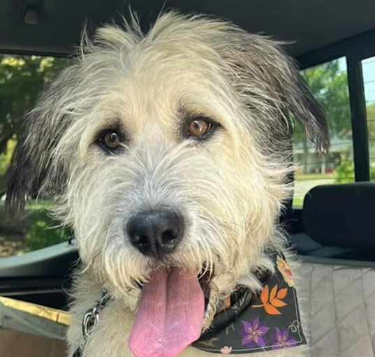 Photo of Gus