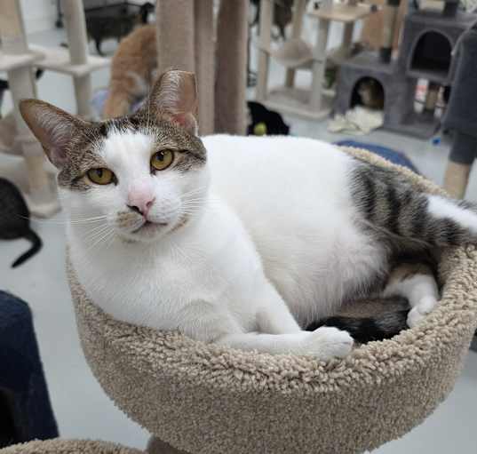 Photo of Alexei