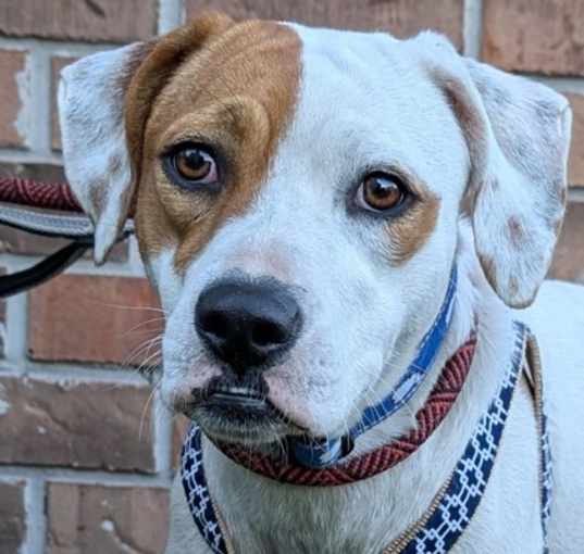 Photo of Hera