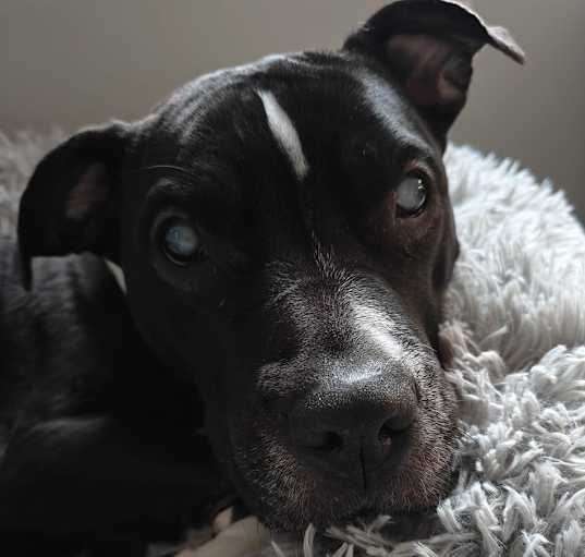 Photo of Miss Lola