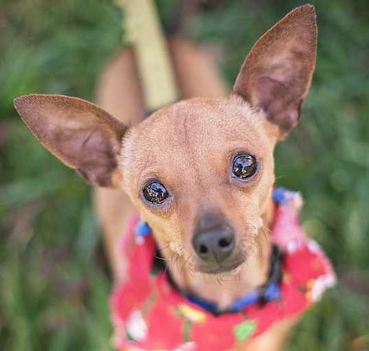 Photo of Skittles