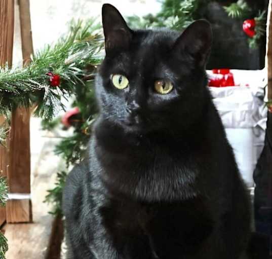 Photo of Missy