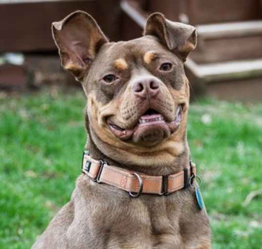 Photo of Twix