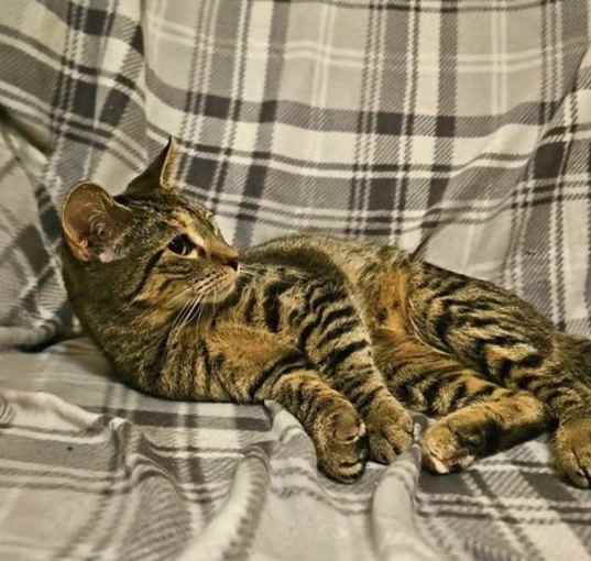 Photo of *Sabrina