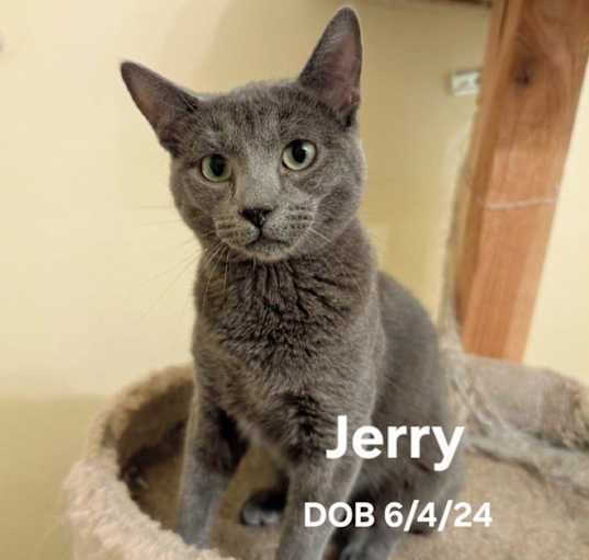 Photo of Jerry