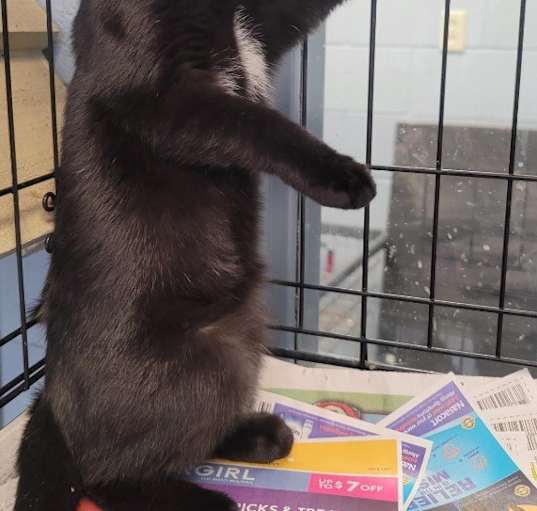 Photo of Bingo