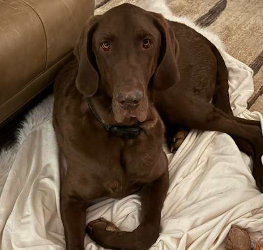 Photo of Winston