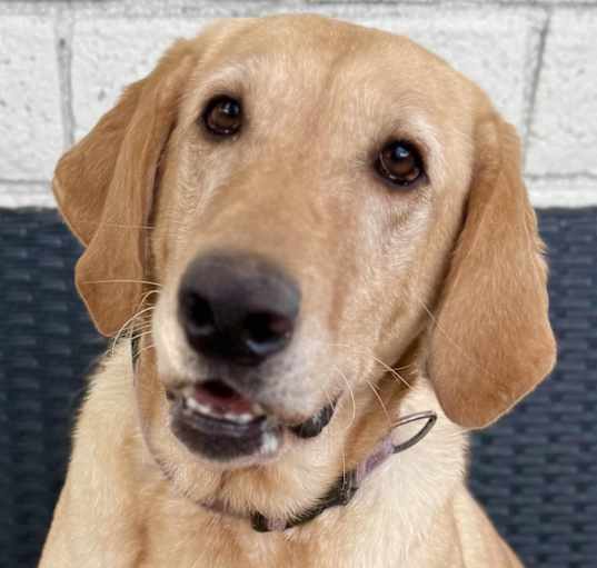 Photo of Adorable Ellie