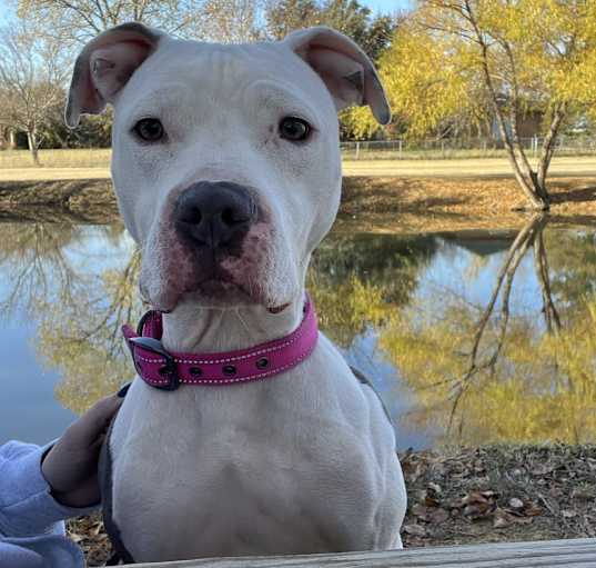 Photo of Lola