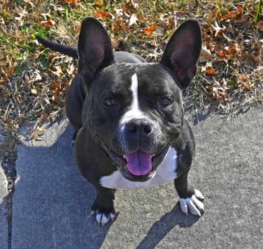 Photo of MOZZIE