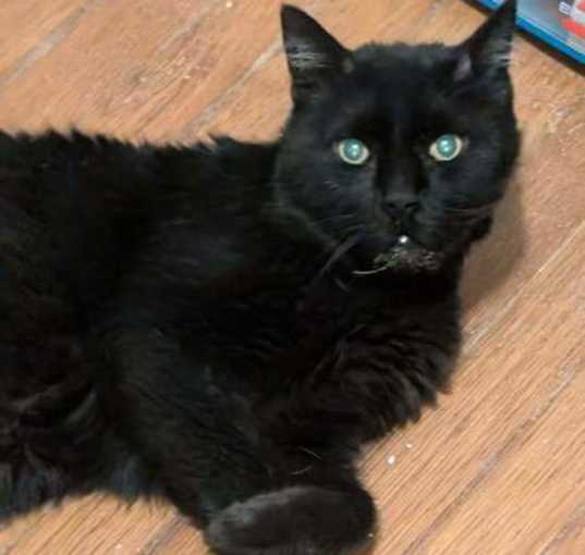 Photo of Boo Boo