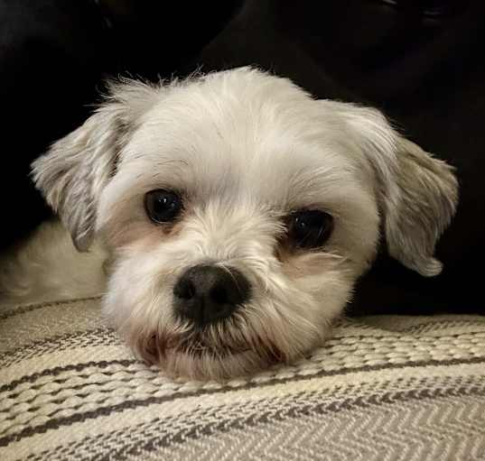 Photo of Benny