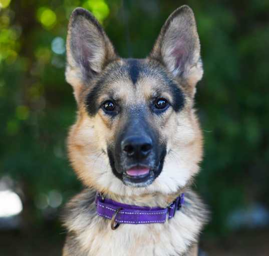 Photo of VINNIE