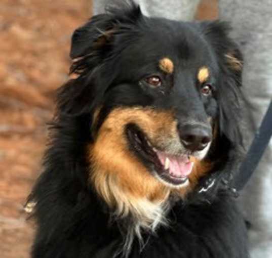 Photo of Zeke