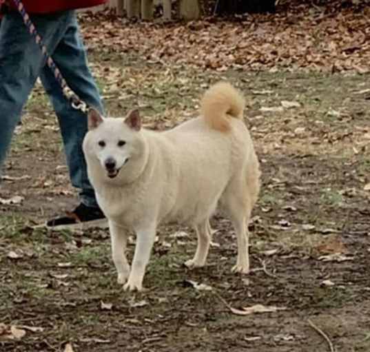 Photo of Missy