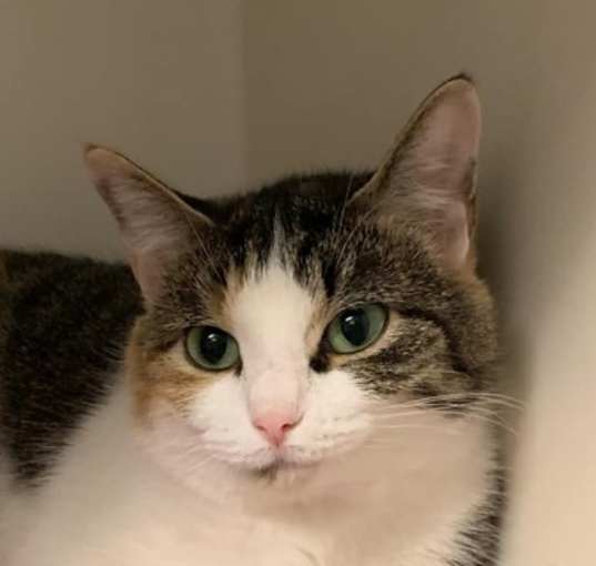 Photo of Daisey