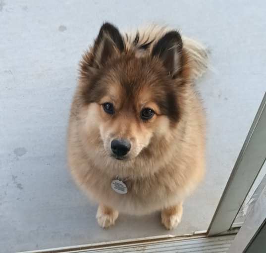 Photo of Tinkerbell