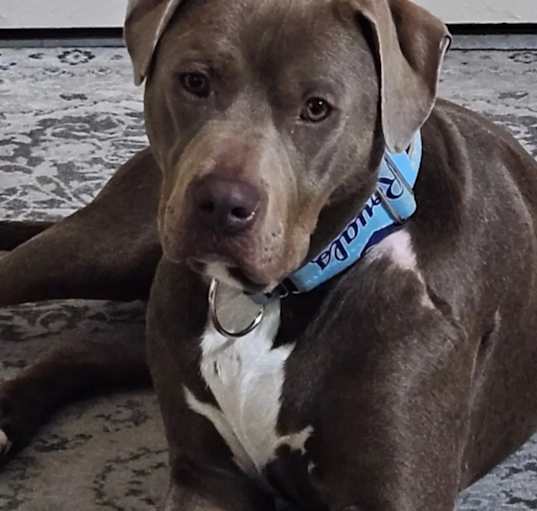 Photo of Hudson