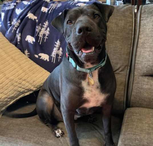 Photo of Luna