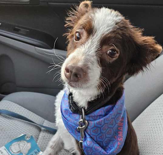 Photo of Mocha
