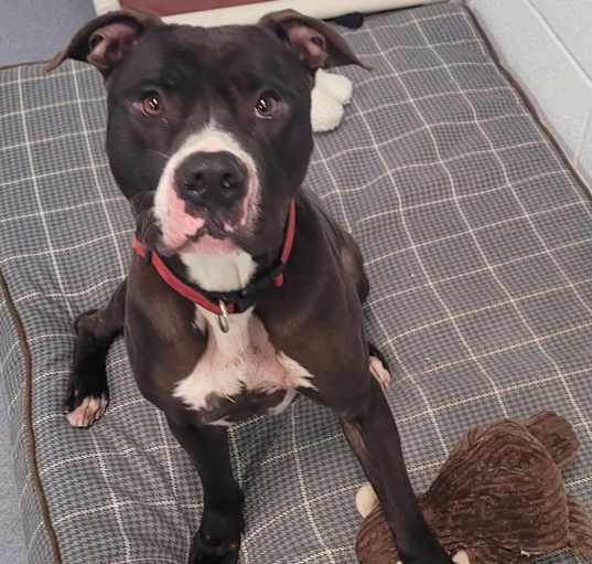 Photo of Maui! Playful Boy!