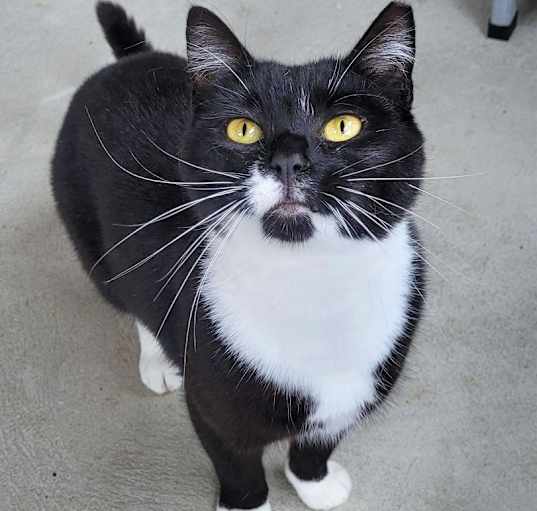 Photo of Maggie Mae