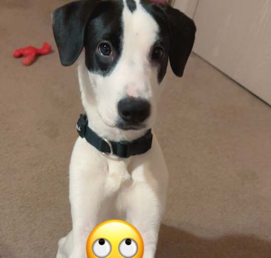 Photo of Zeus