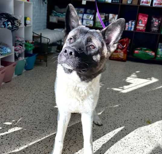 Photo of Zeke