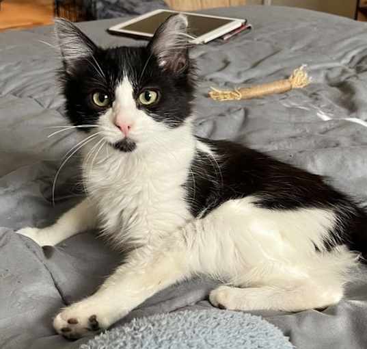 Photo of Lily