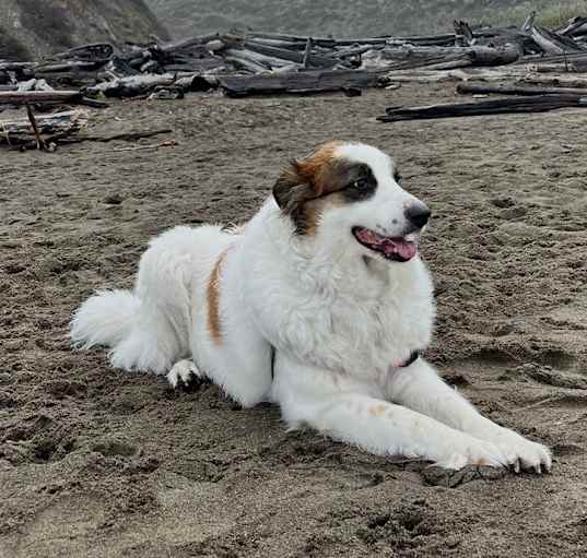 Photo of Juicy