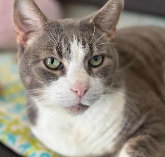 Photo of Soren