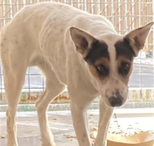 Photo of ROSITA