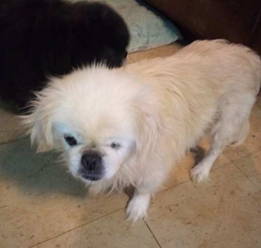 Photo of Mollly